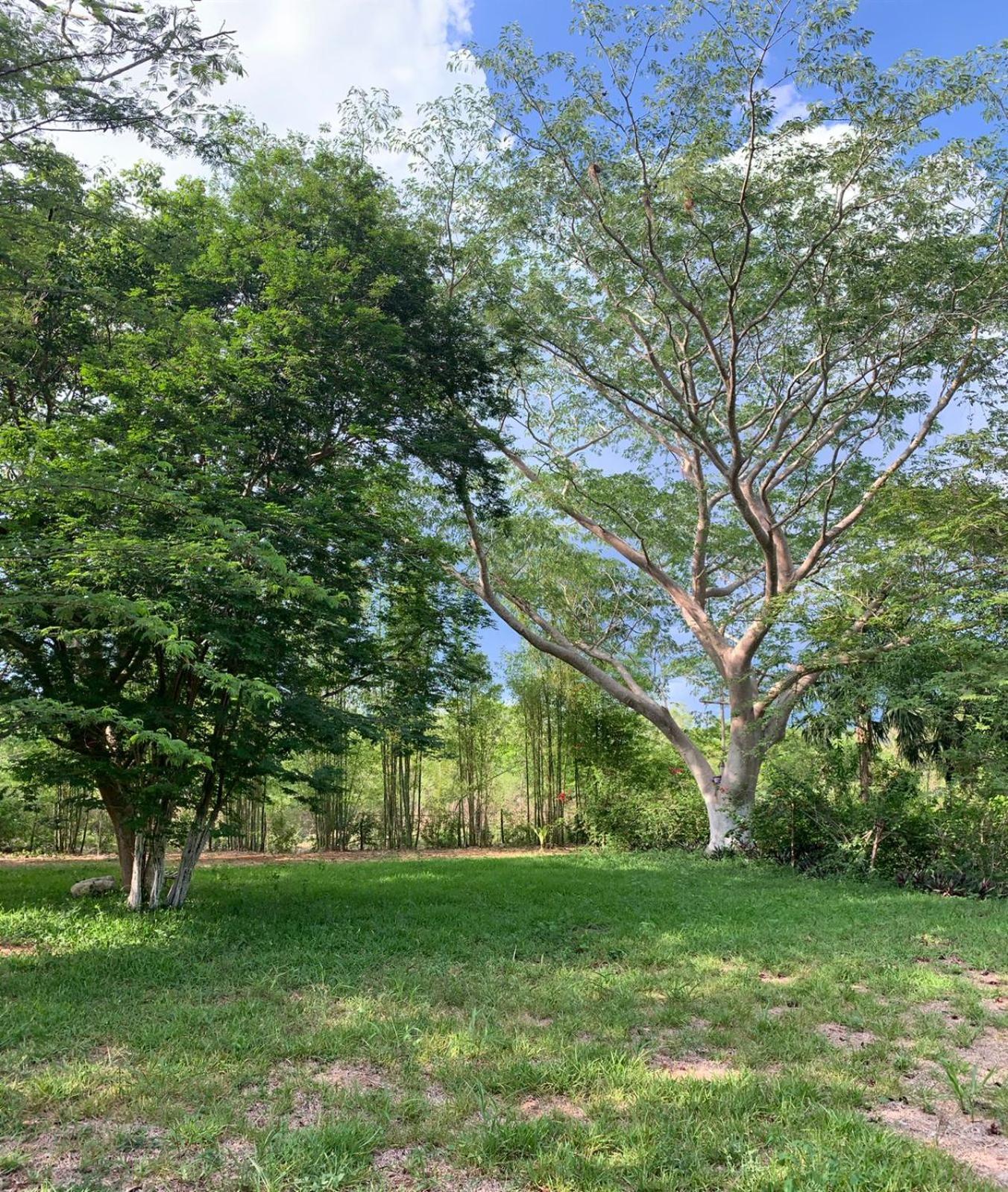 Chichén-Itzá El Encanto - Hotel Boutique מראה חיצוני תמונה